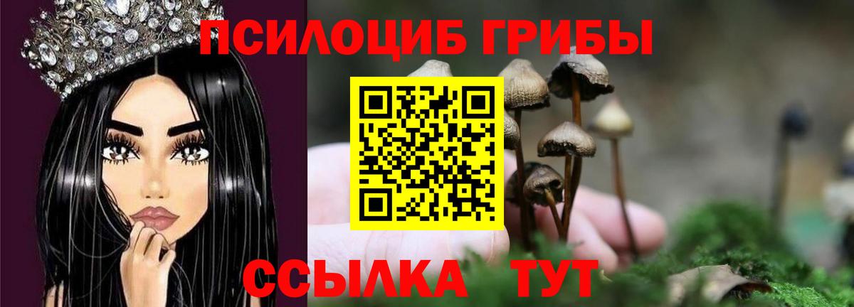 Псилоцибиновые грибы Magic Shrooms  Вход с VPN  Псилоцибиновые грибы MAGIC MUSHROOMS  Нефтеюганск 